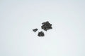 Kyosho MZ409 Mini-Z Screw Set for MR-03