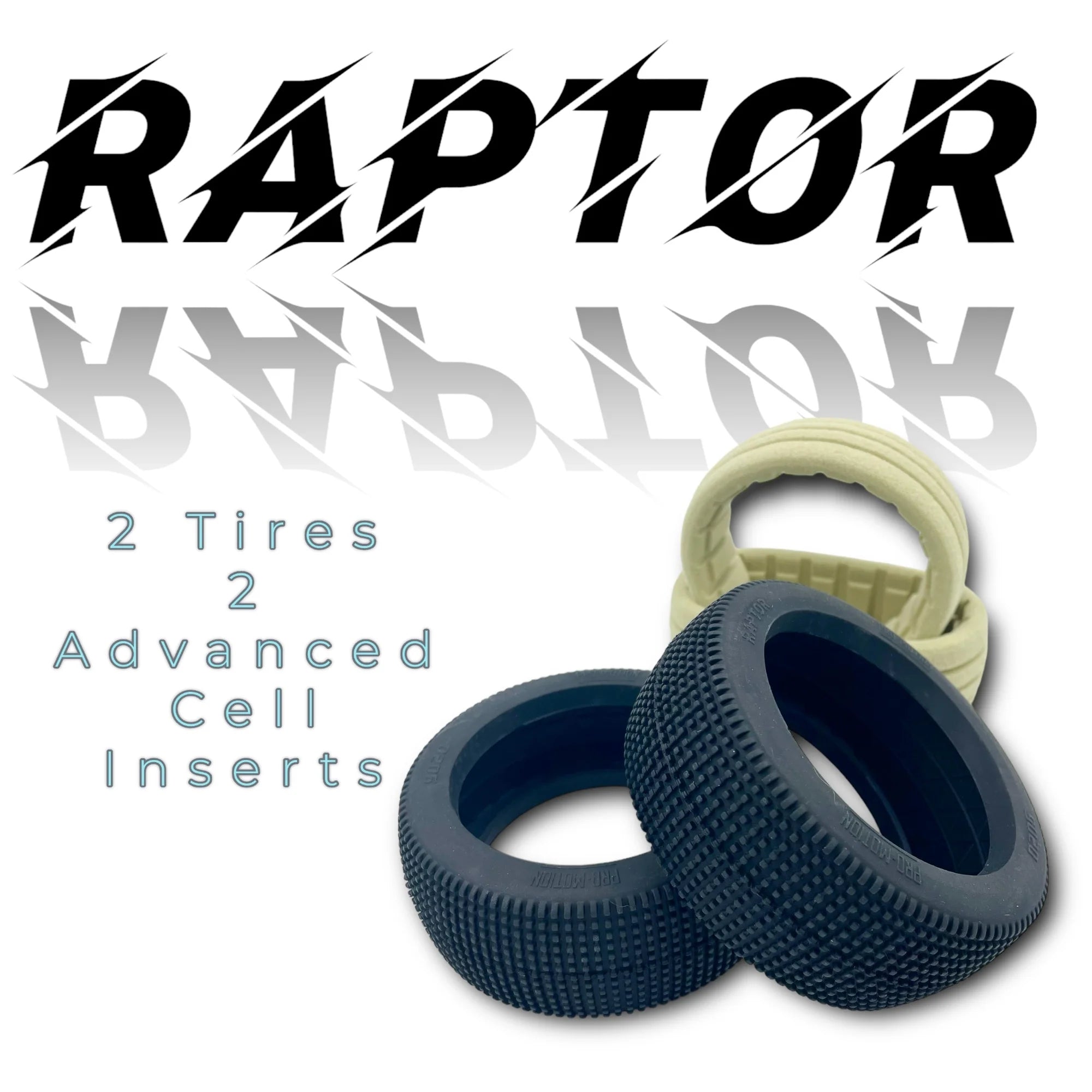 Promotion RC Raptor 8th Scale Buggy